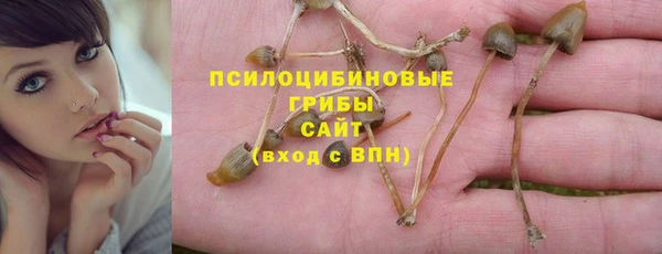 герыч Вязьма