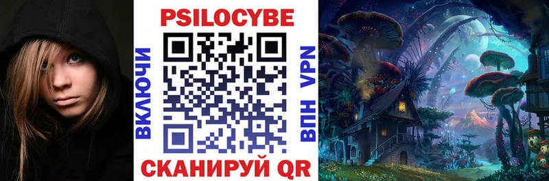 купить закладку Мценск ОМГ ОМГ зеркало Псилоцибиновые грибы Psilocybine cubensis
