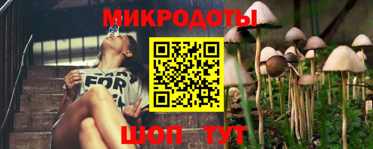 Галлюциногенные грибы MAGIC MUSHROOMS Мценск
